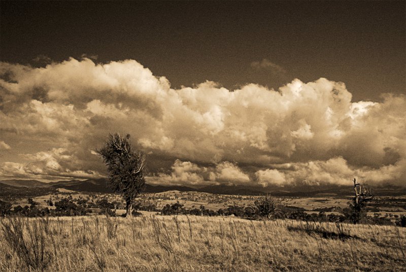 sepia landscape.jpg